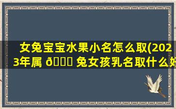 女兔宝宝水果小名怎么取(2023年属 🐕 兔女孩乳名取什么好)